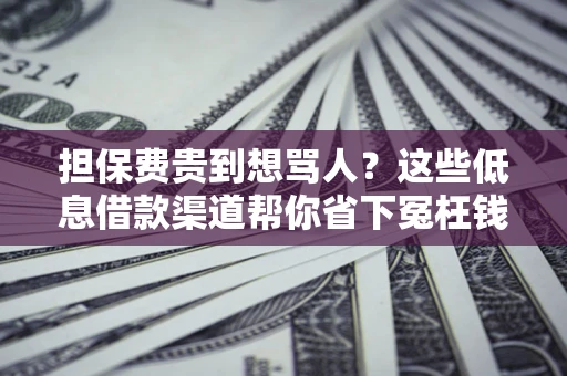 济南担保费贵到想骂人？这些低息借款渠道帮你省下冤枉钱